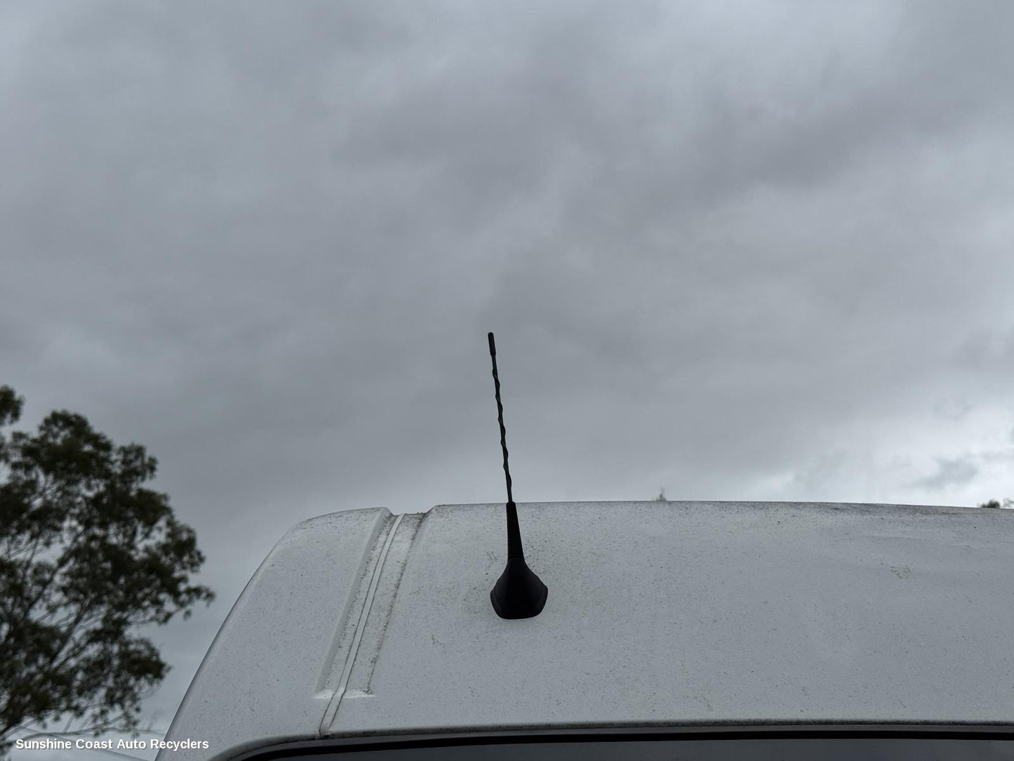 2011-2026 Renault Master Antenna