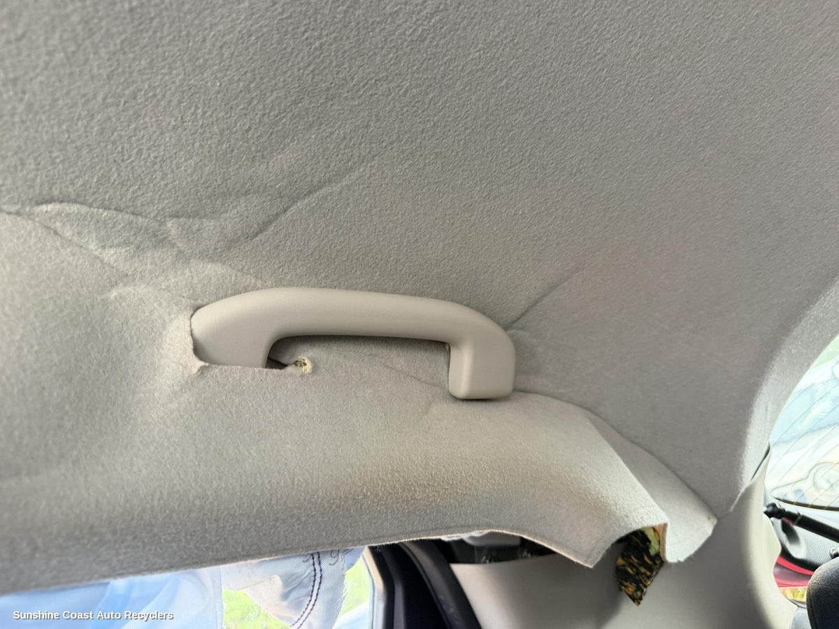 2010-2019 Nissan Juke Grab Handle