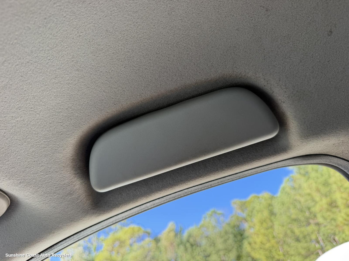2015-2026 Ldv G10 Grab Handle
