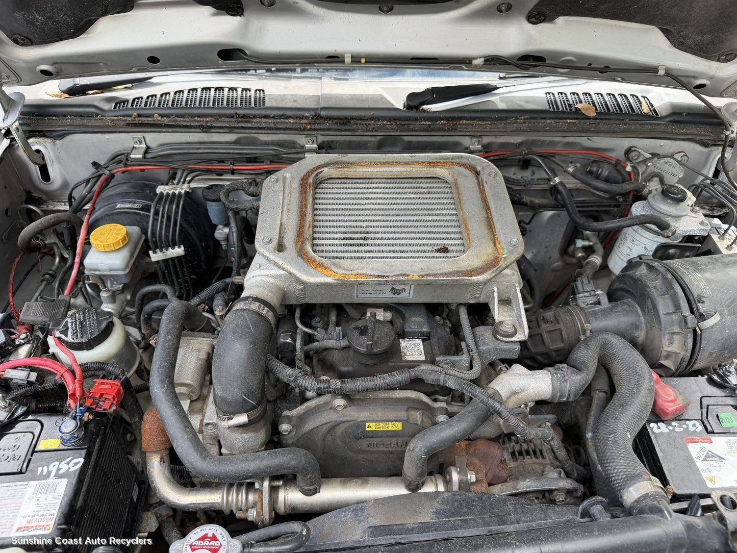 2007-2015 Nissan Navara Engine