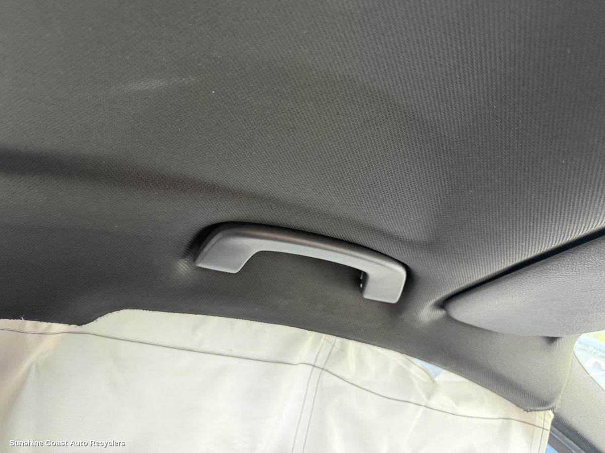 2012-2019 Bmw 3 Series Grab Handle