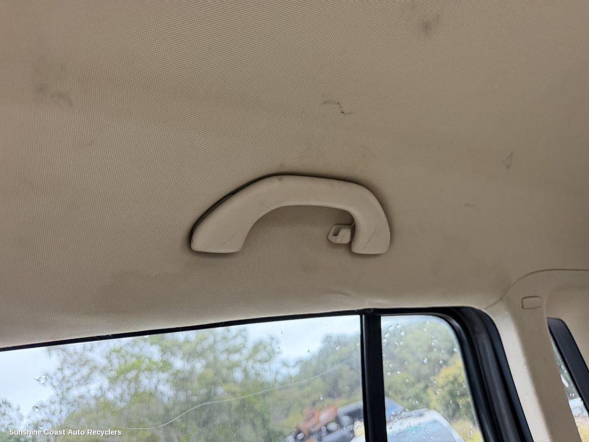 2008-2011 Volkswagen Tiguan Grab Handle
