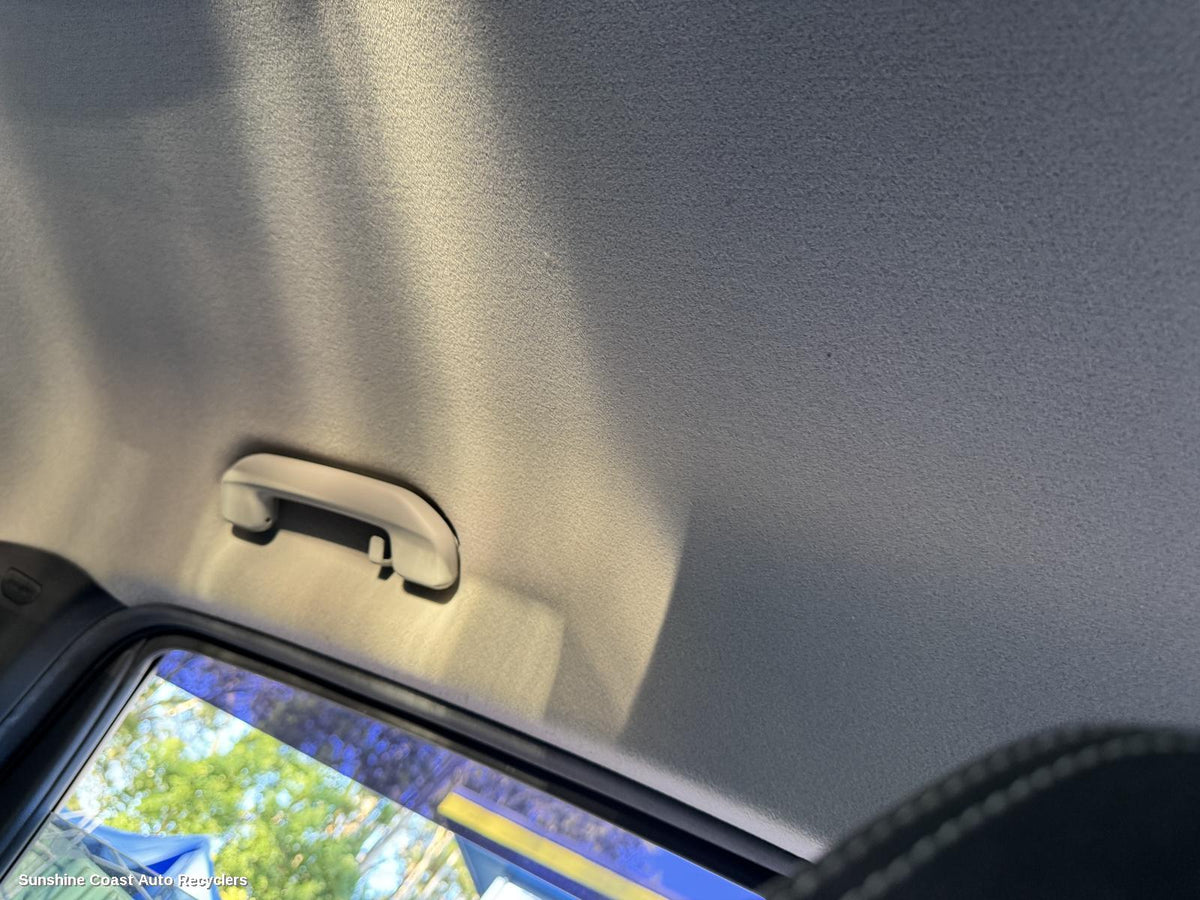2017-2026 Ldv T60 Grab Handle