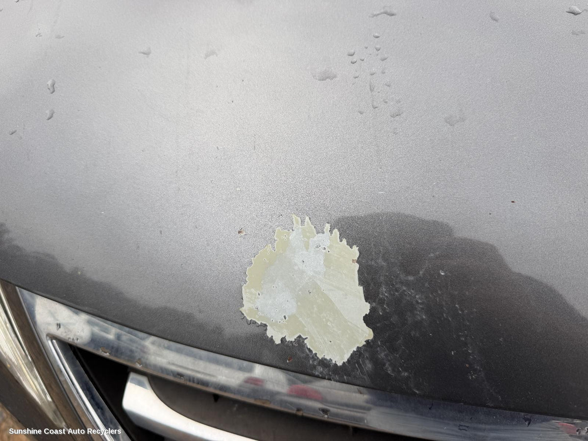 2008-2016 Volkswagen Tiguan Bonnet