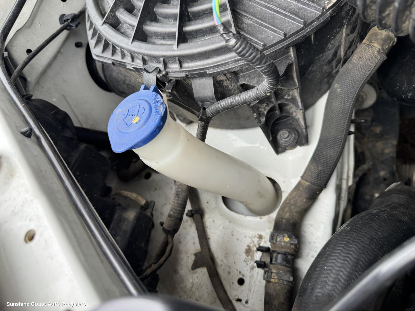 2018 Ford Ranger Washer Bottle