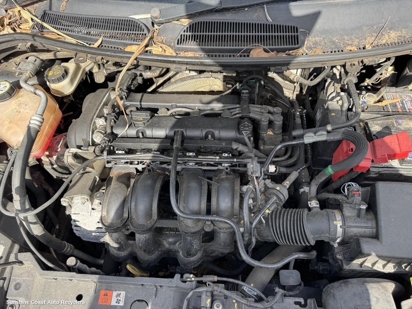 2011 Ford Fiesta Engine