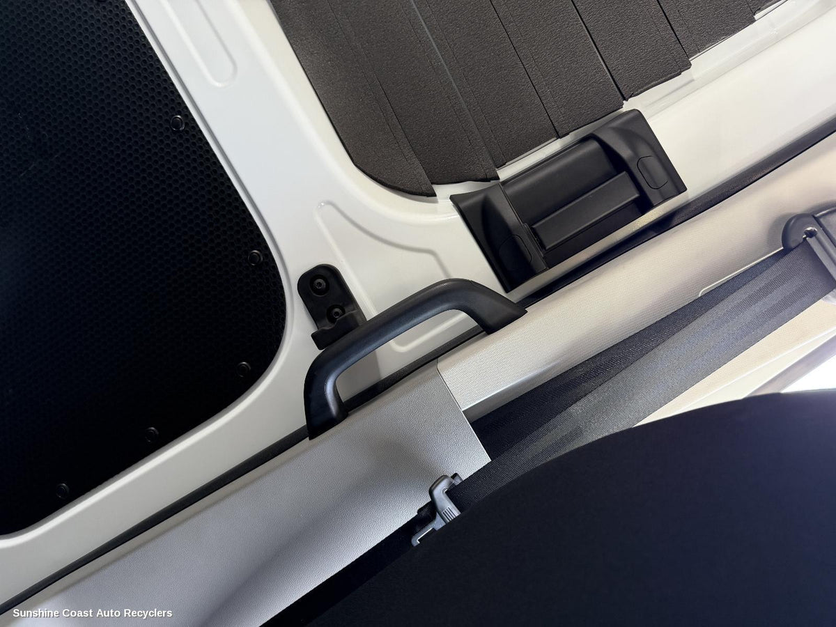 2020-2026 Ldv Deliver 9 Grab Handle