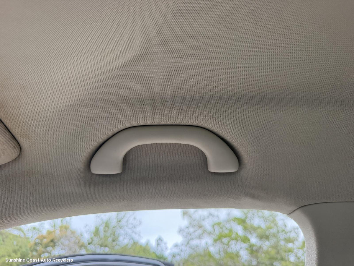2008-2011 Volkswagen Tiguan Grab Handle