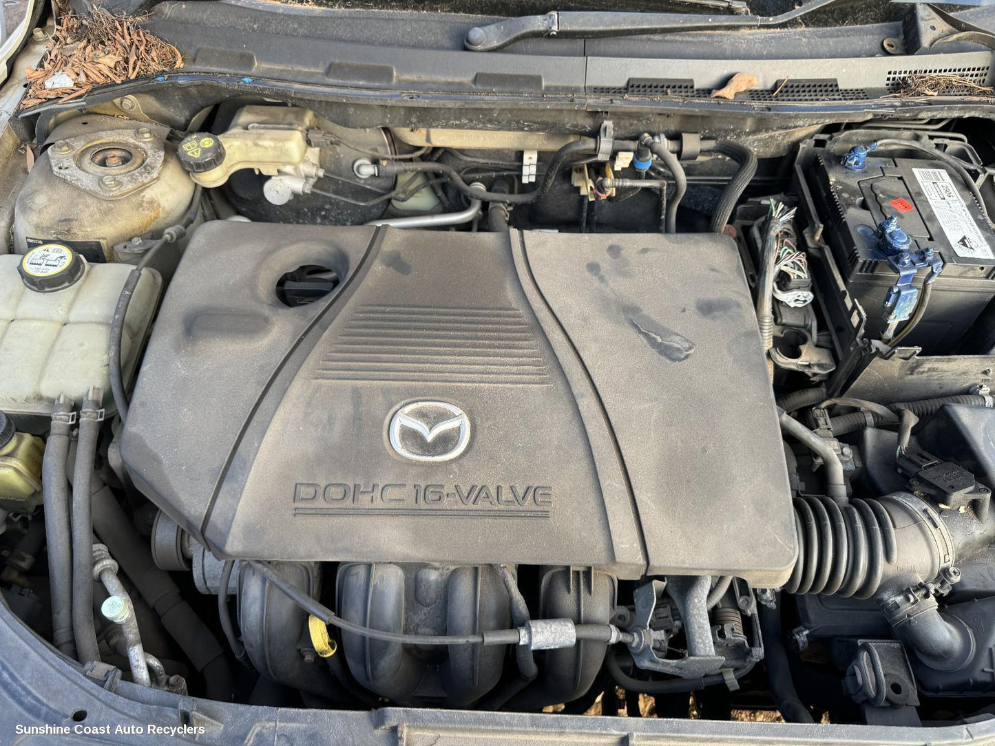 2005 Mazda 3 Engine