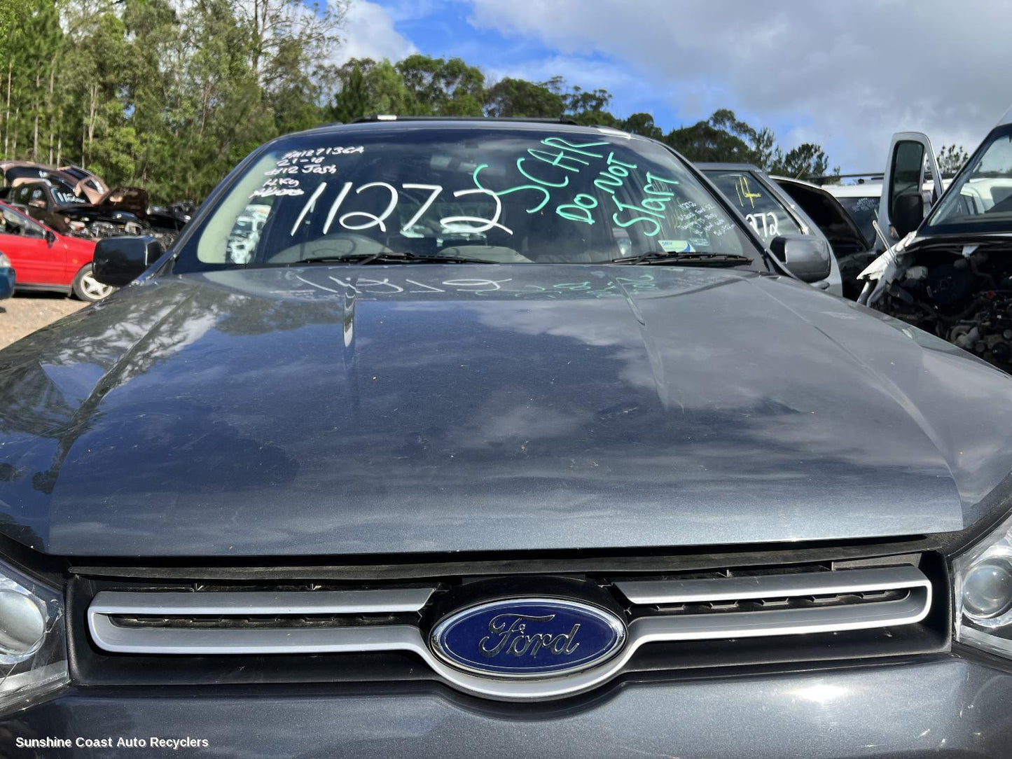 2012 Ford Territory Grille