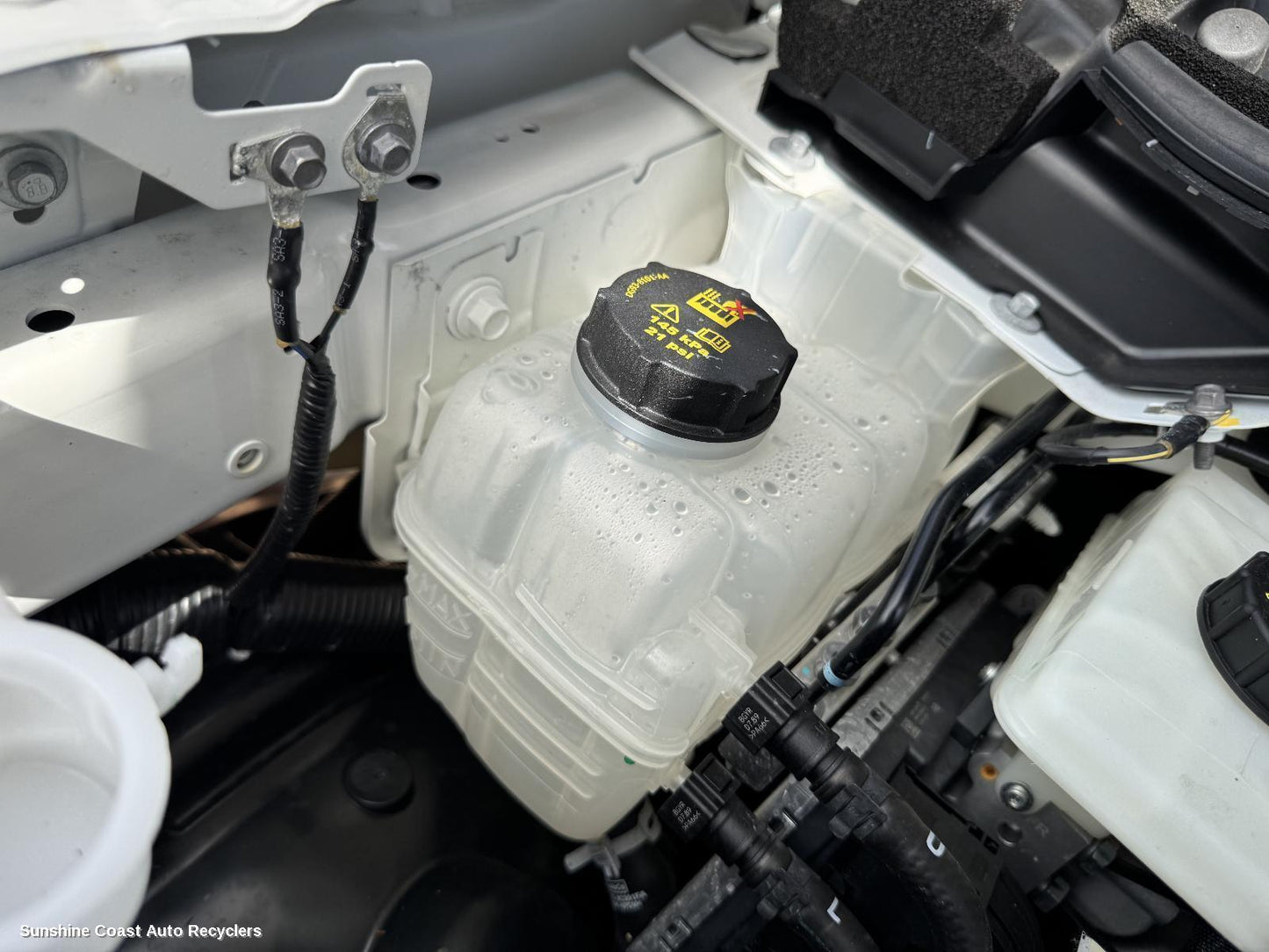 2024 Ford Everest Overflow Bottle