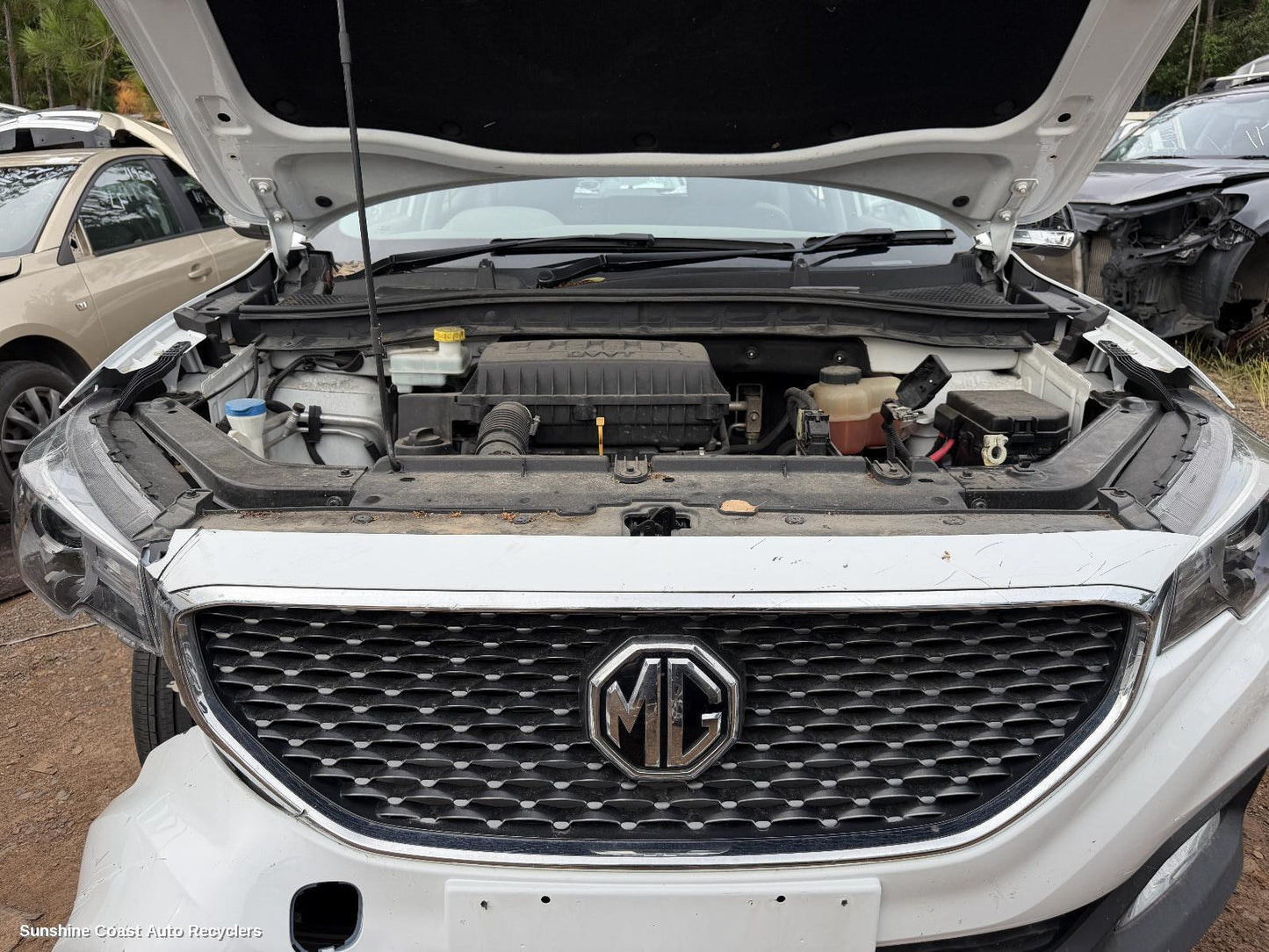 2017-2024 Mg Zs Grille