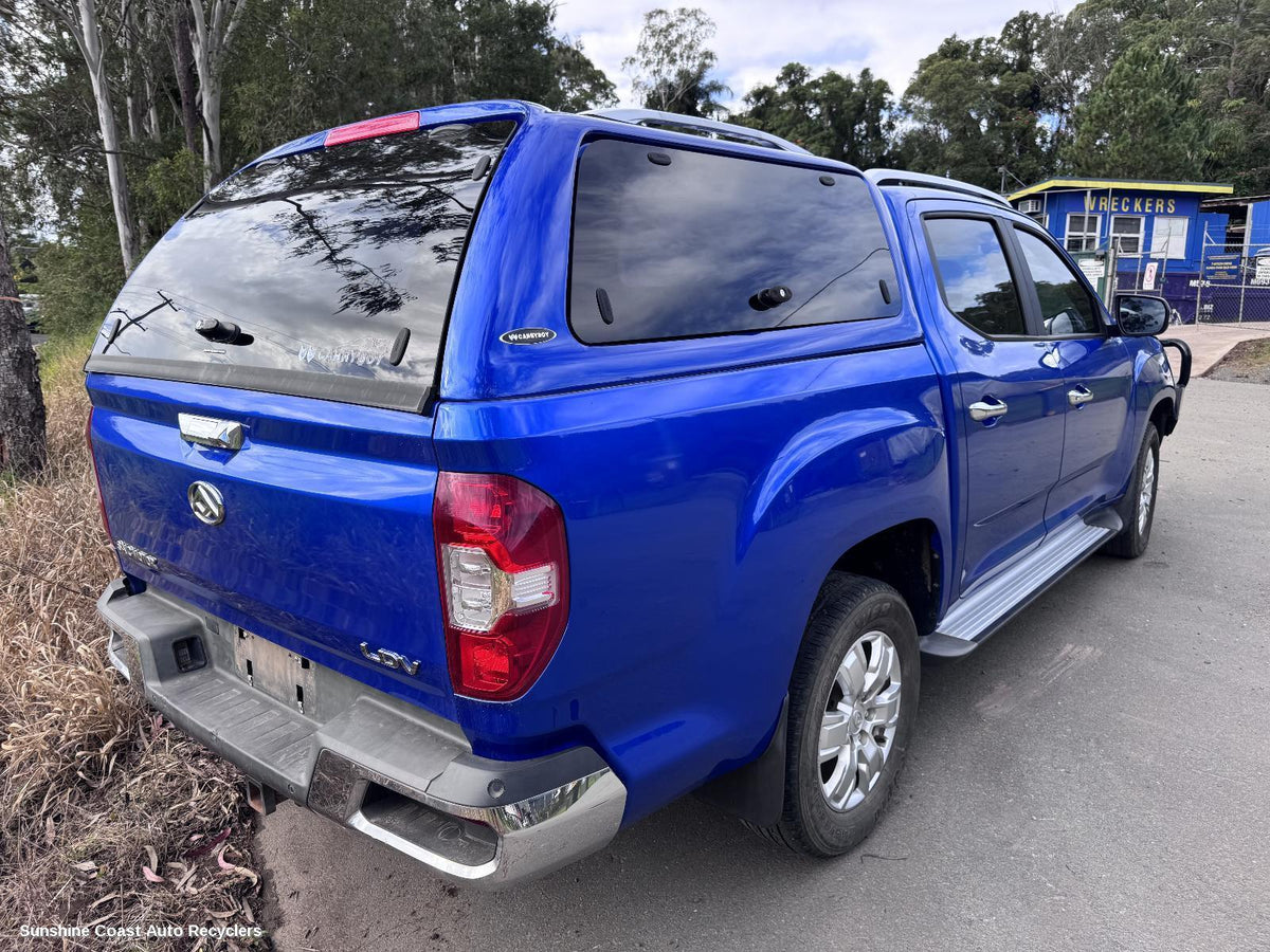 2017-2026 Ldv T60 Grab Handle