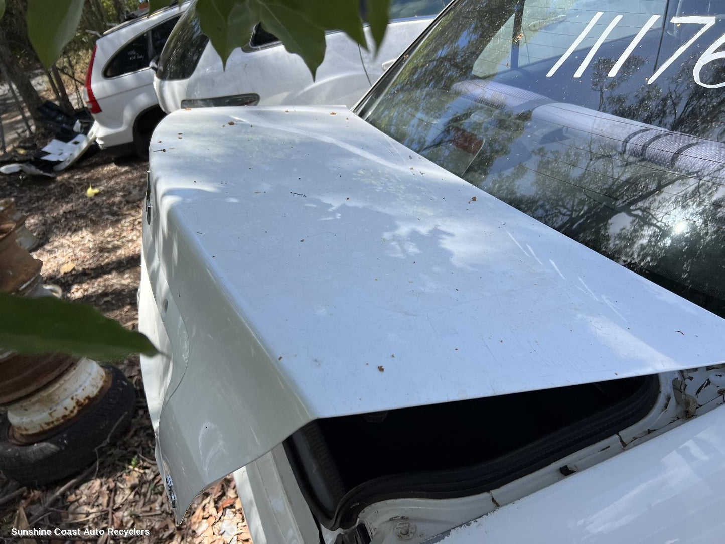 2006 Mitsubishi Lancer Bootlid Tailgate