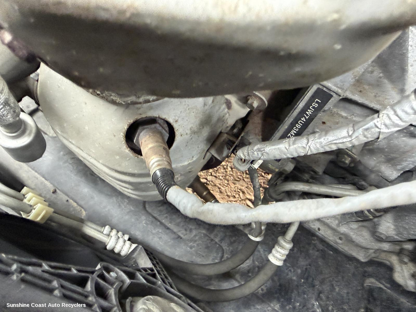 2017-2025 Mg Zs Oxygen Sensor