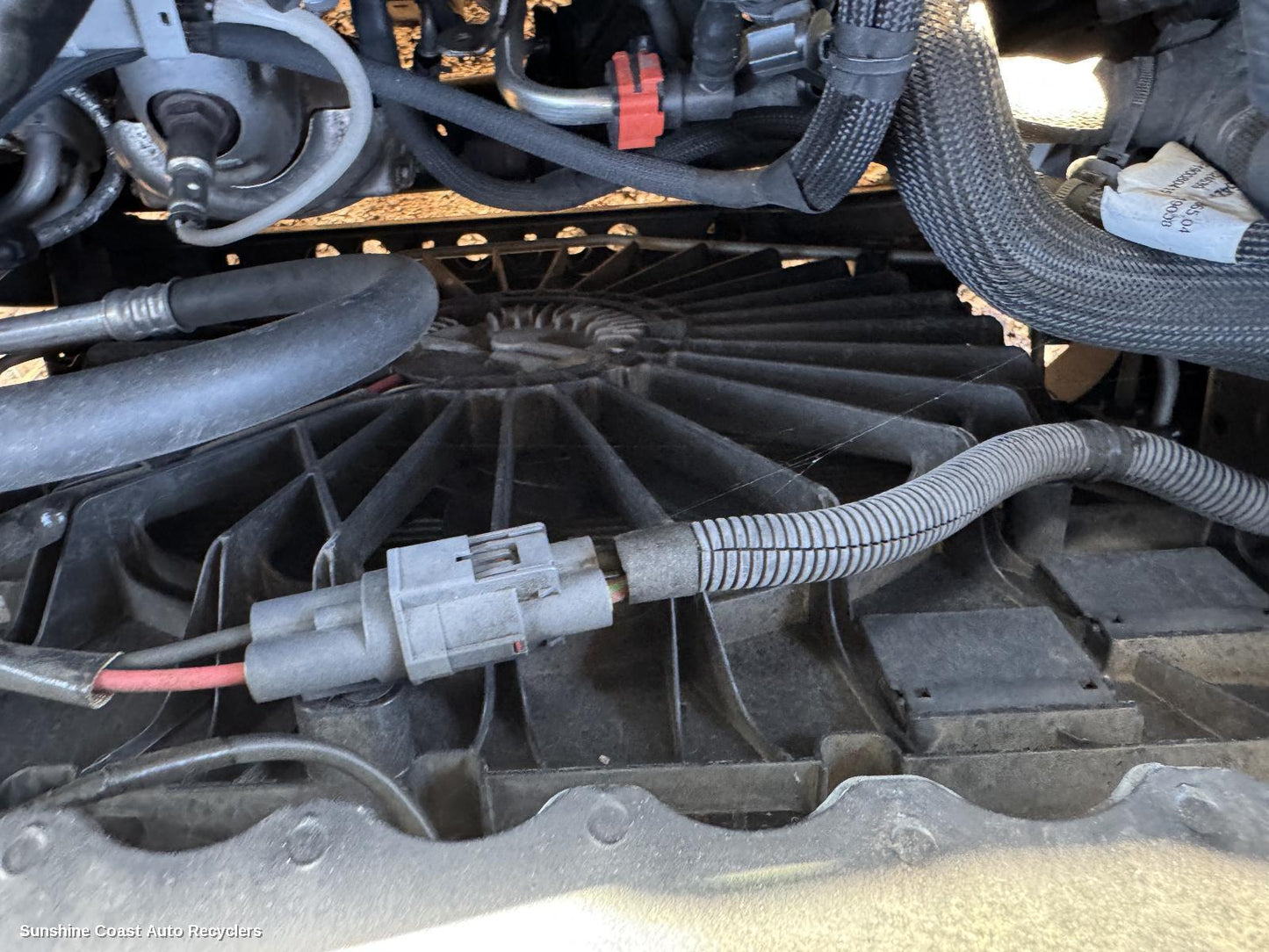 2018-2020 Holden Acadia Fan