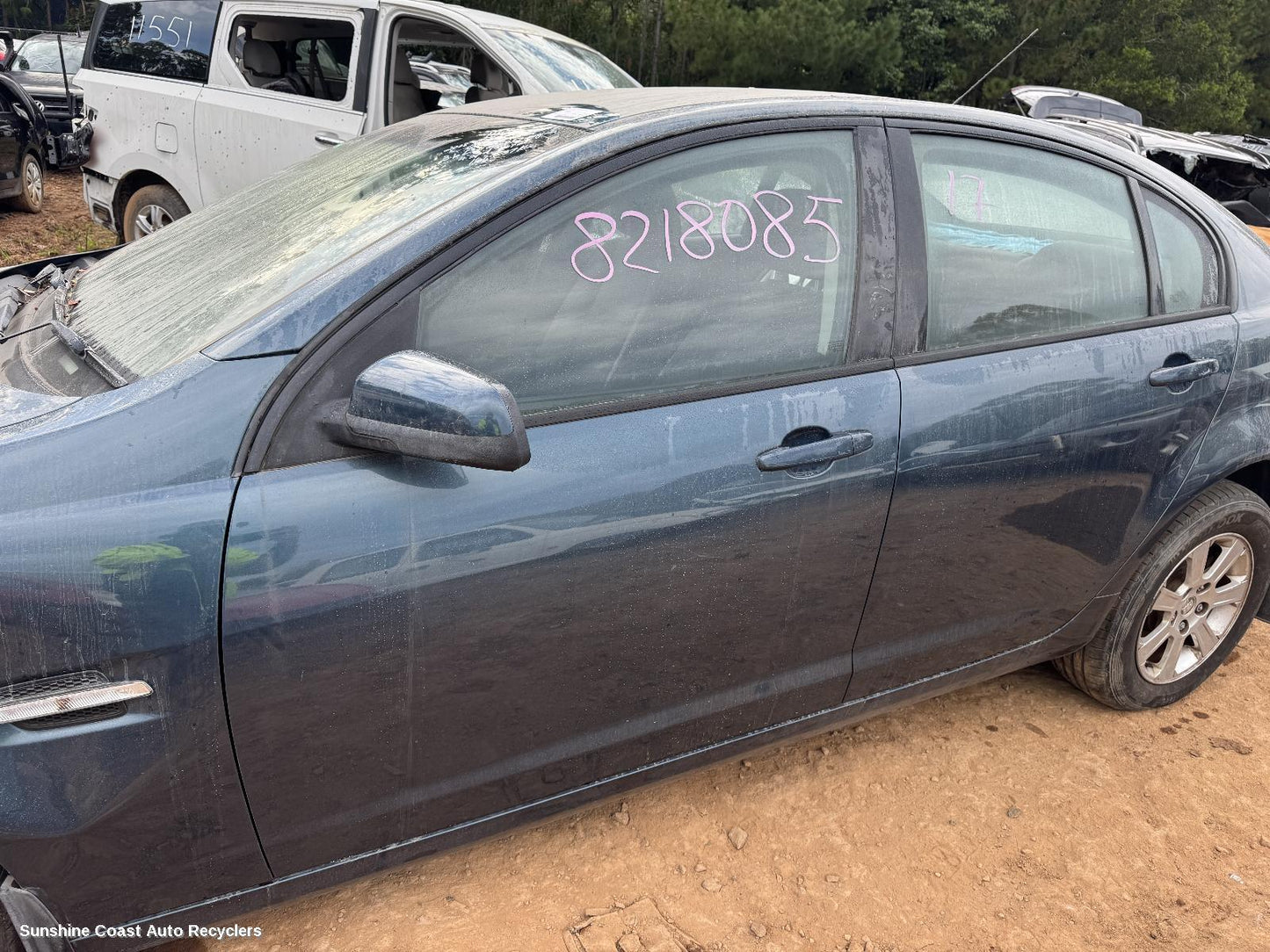2008 Holden Commodore Left Front Door Window