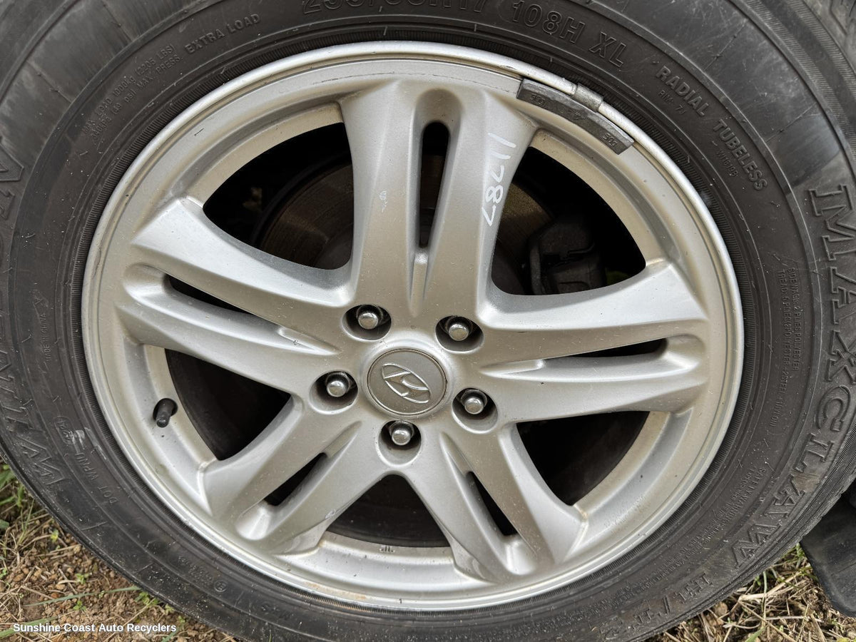 2005-2012 Hyundai Santa Fe Courtesy Light