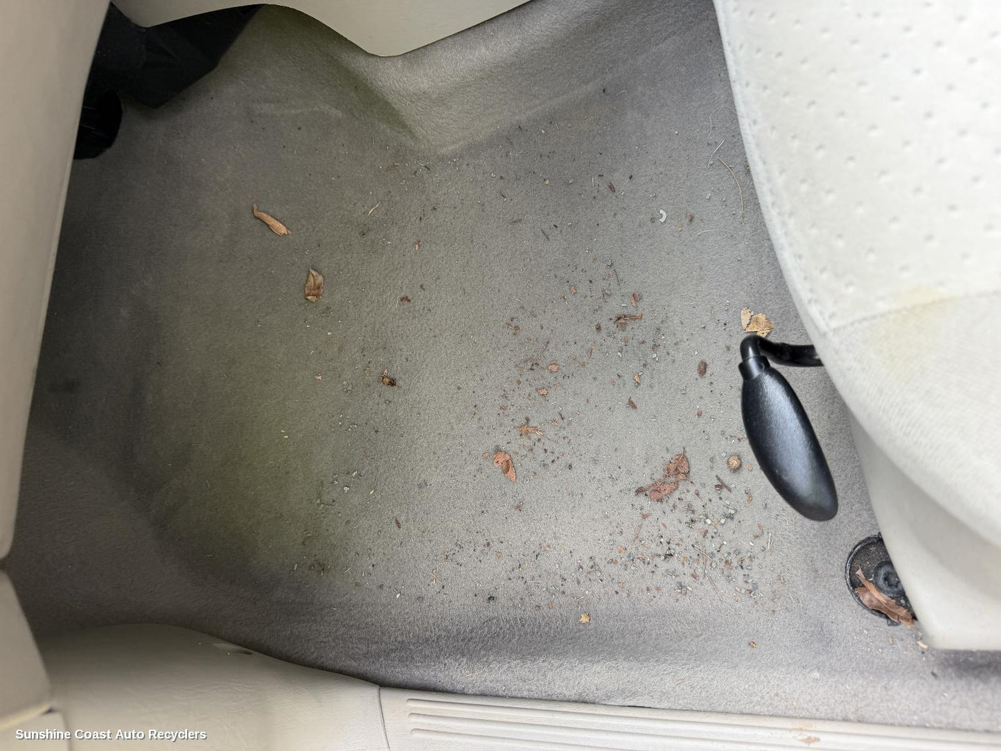 2001-2005 Ford Focus Carpet