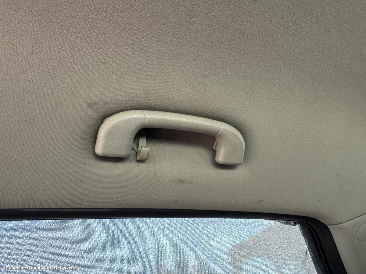 2011-2018 Holden Captiva Grab Handle