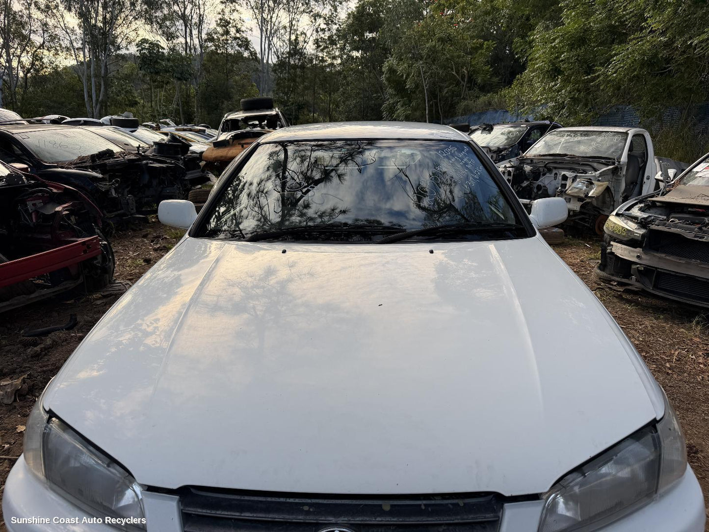 1997-2002 Toyota Camry Bonnet