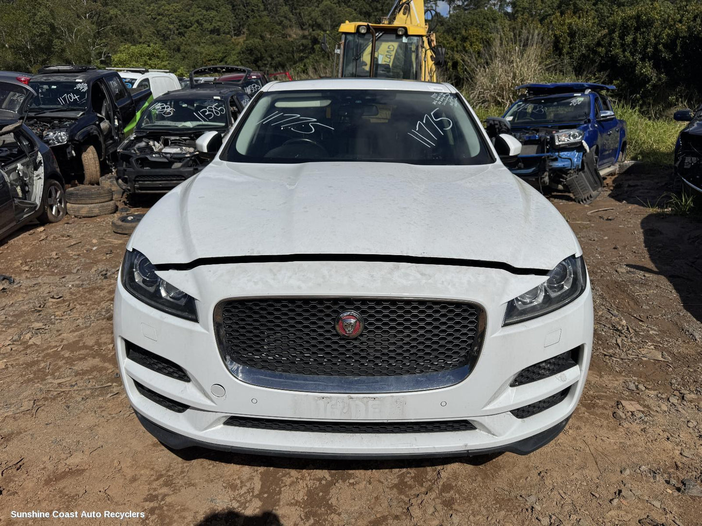 2016-2025 Jaguar F Pace Headrest