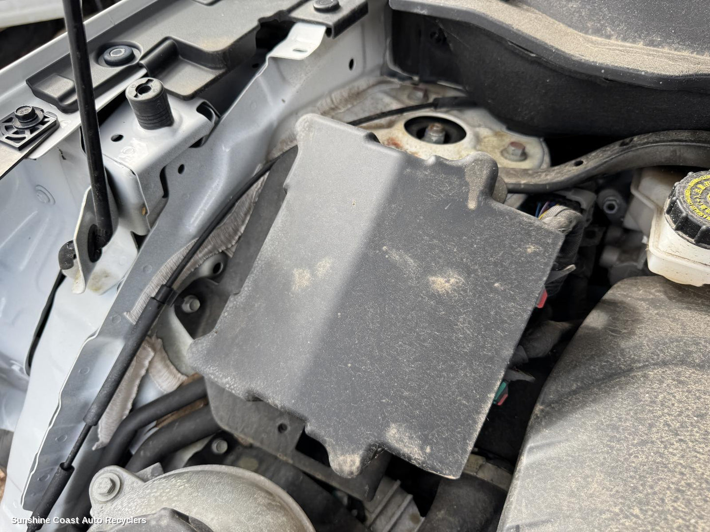 2021-2026 Haval Jolion Ecu