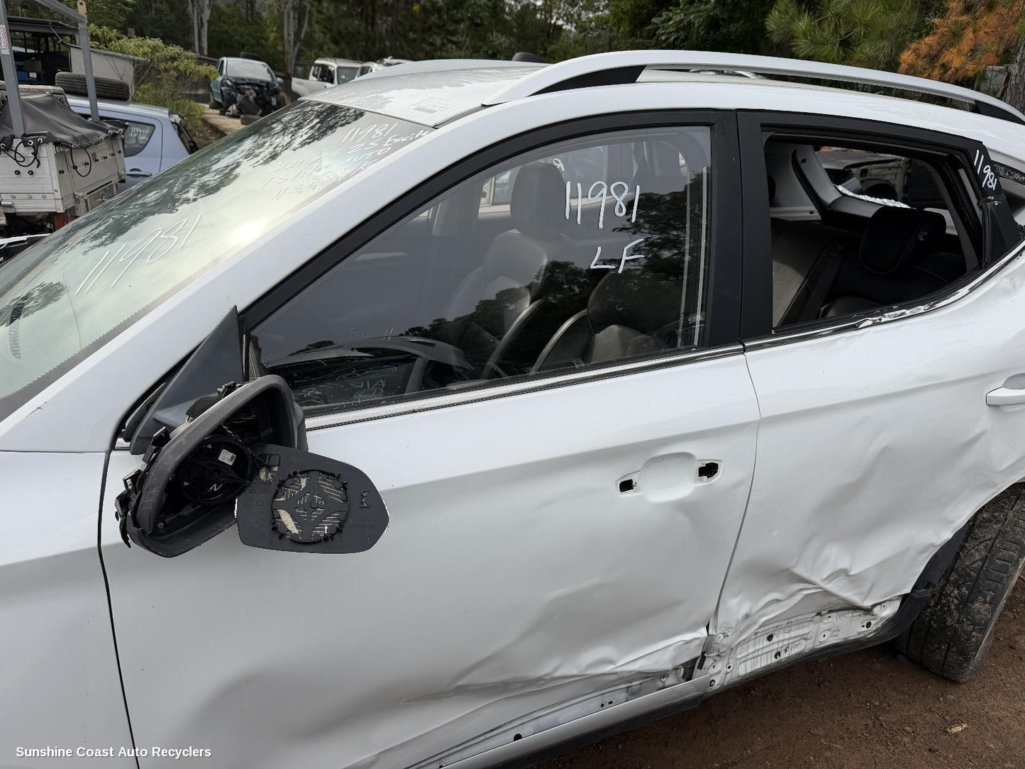 2017-2025 Mg Zs Left Front Door Window