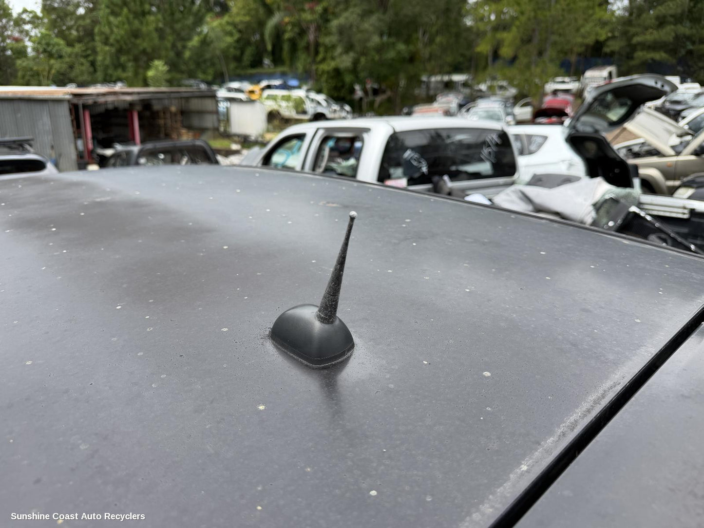 2007-2014 Nissan Dualis Antenna