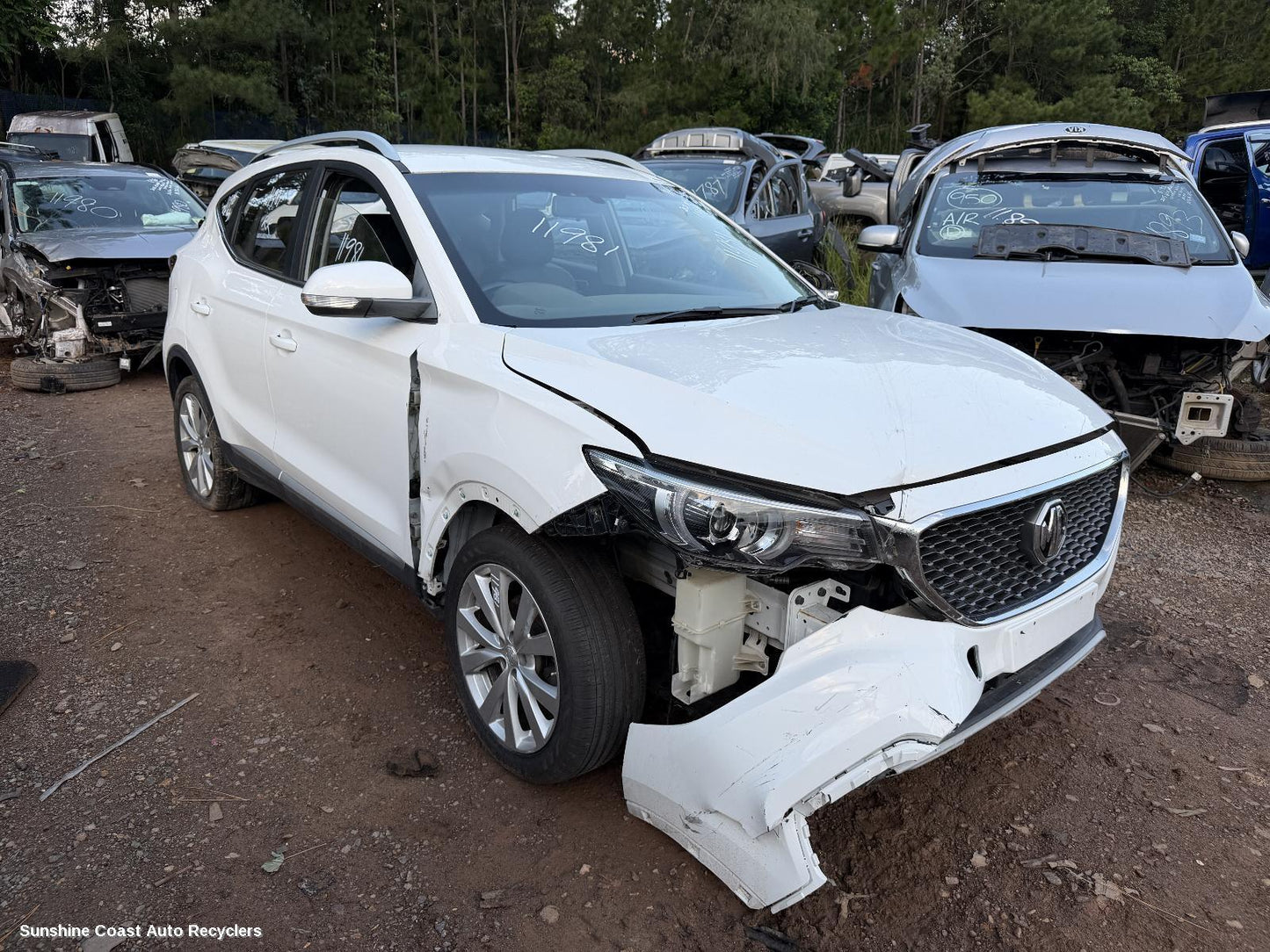 2017-2025 Mg Zs Hoodlining