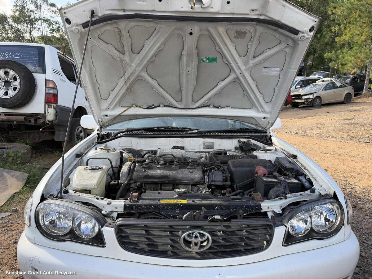 1999-2001 Toyota Corolla Bonnet