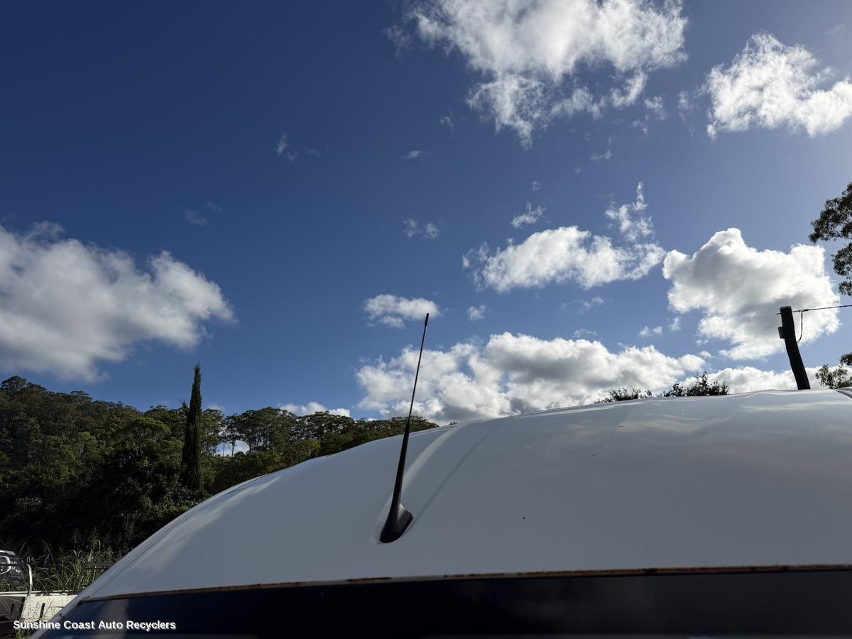 2020-2026 Ldv Deliver 9 Antenna