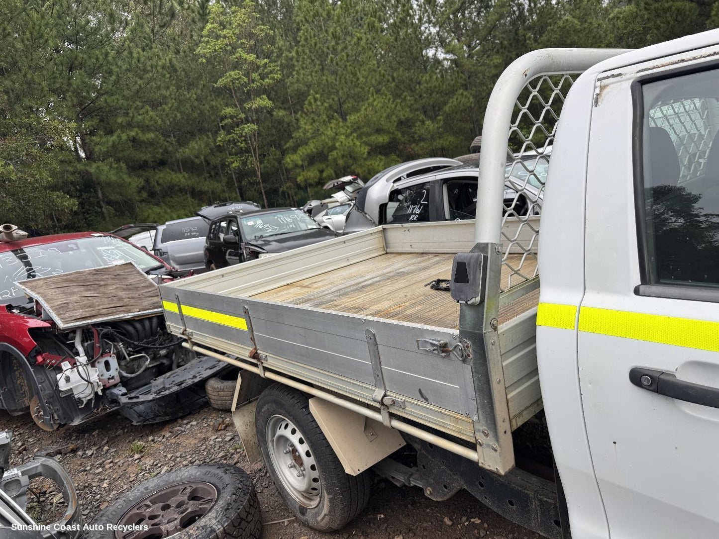 2006-2026 Ford Ranger Ute Back