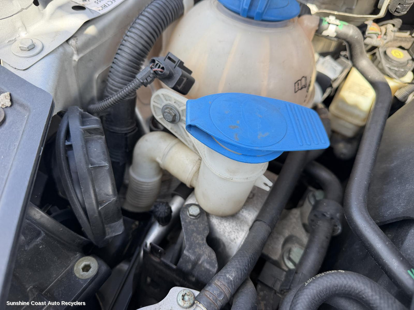 2004-2015 Volkswagen Golf Washer Bottle