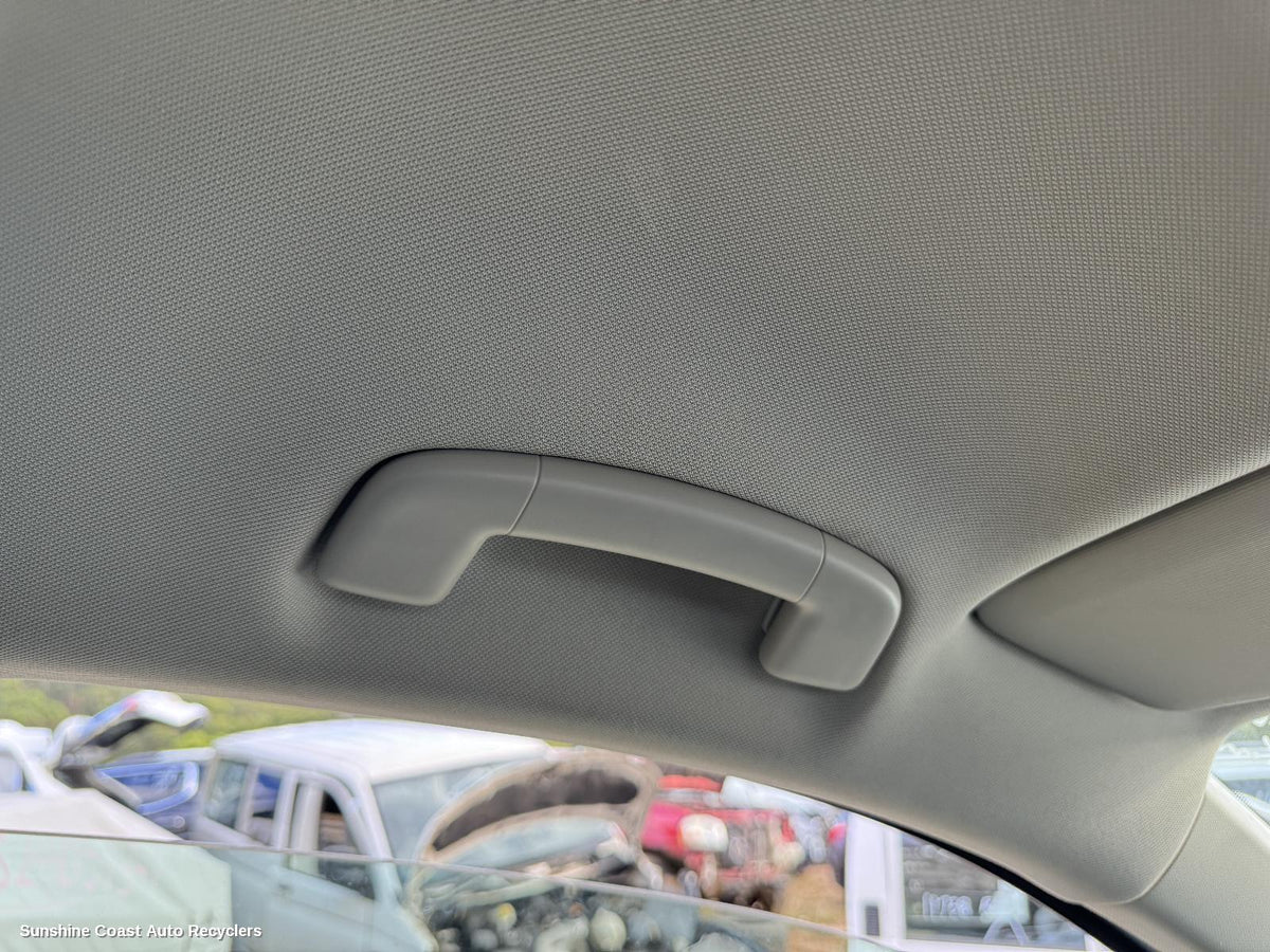 2016-2024 Volkswagen Tiguan Grab Handle