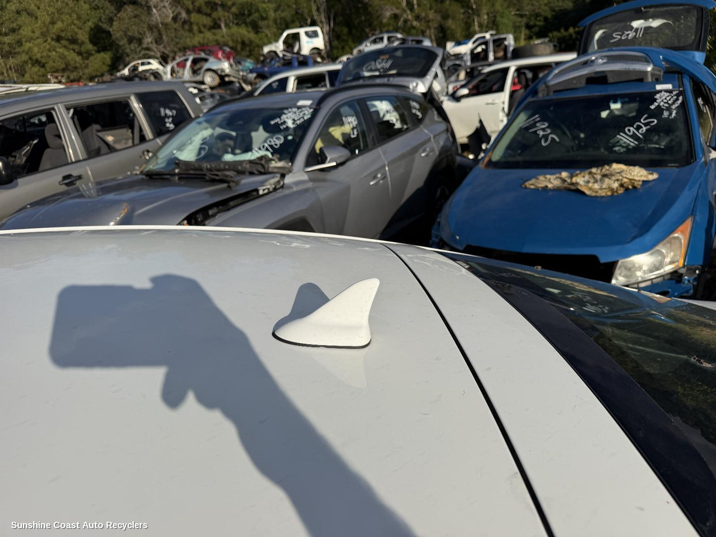 2017-2020 Holden Commodore Antenna