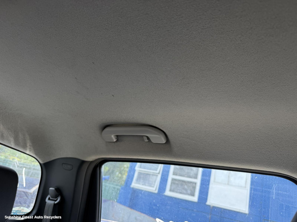 2017-2026 Ldv T60 Grab Handle