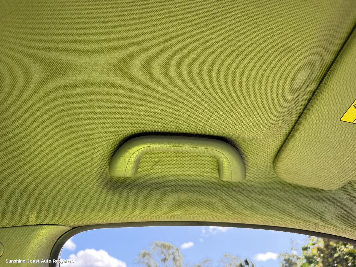 2011-2019 Hyundai Accent Grab Handle