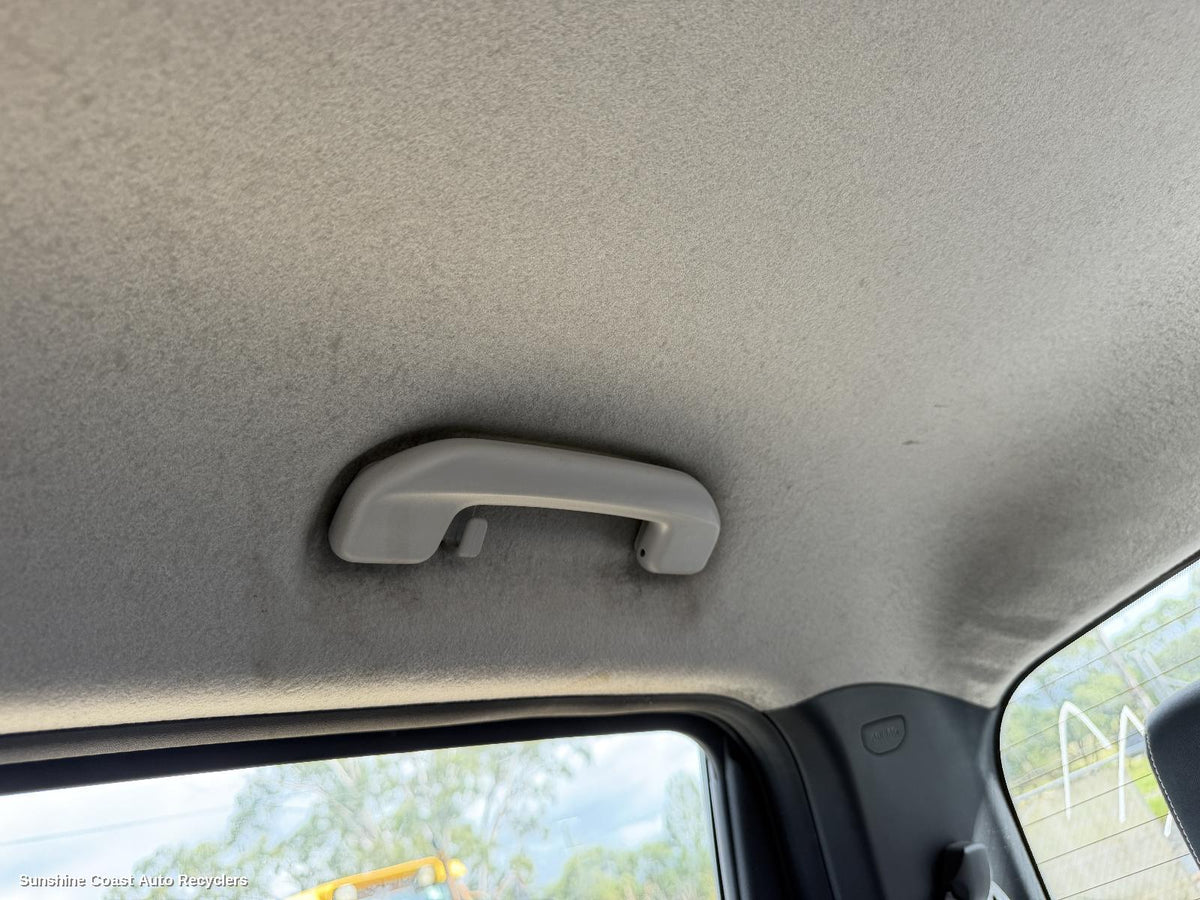2017-2026 Ldv T60 Grab Handle