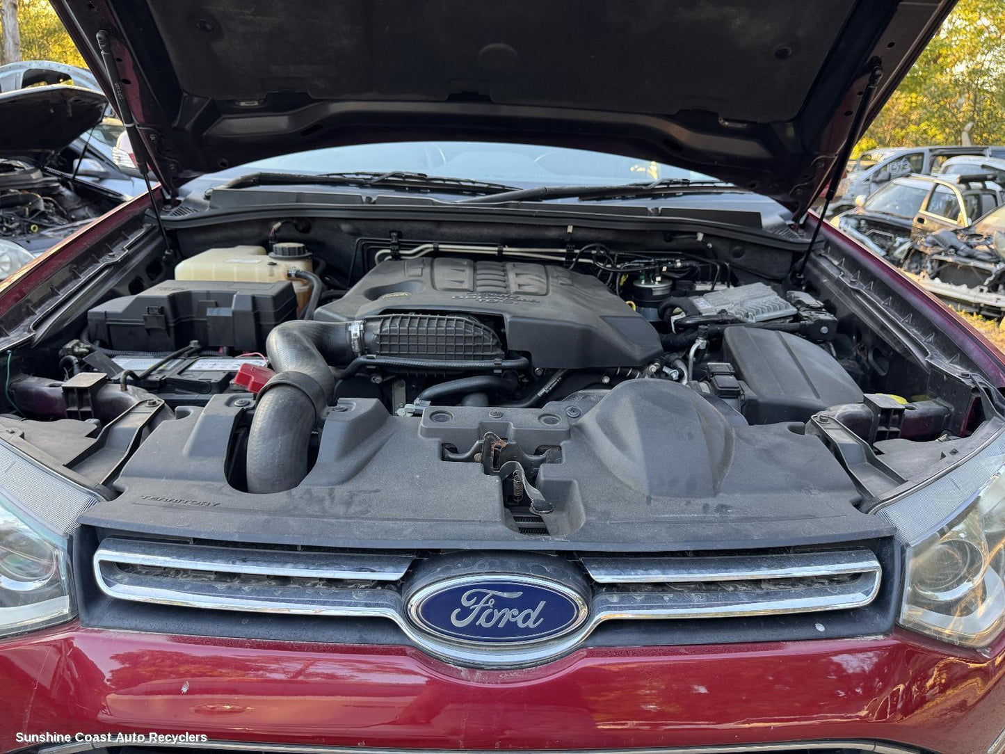 2011 Ford Territory Grille