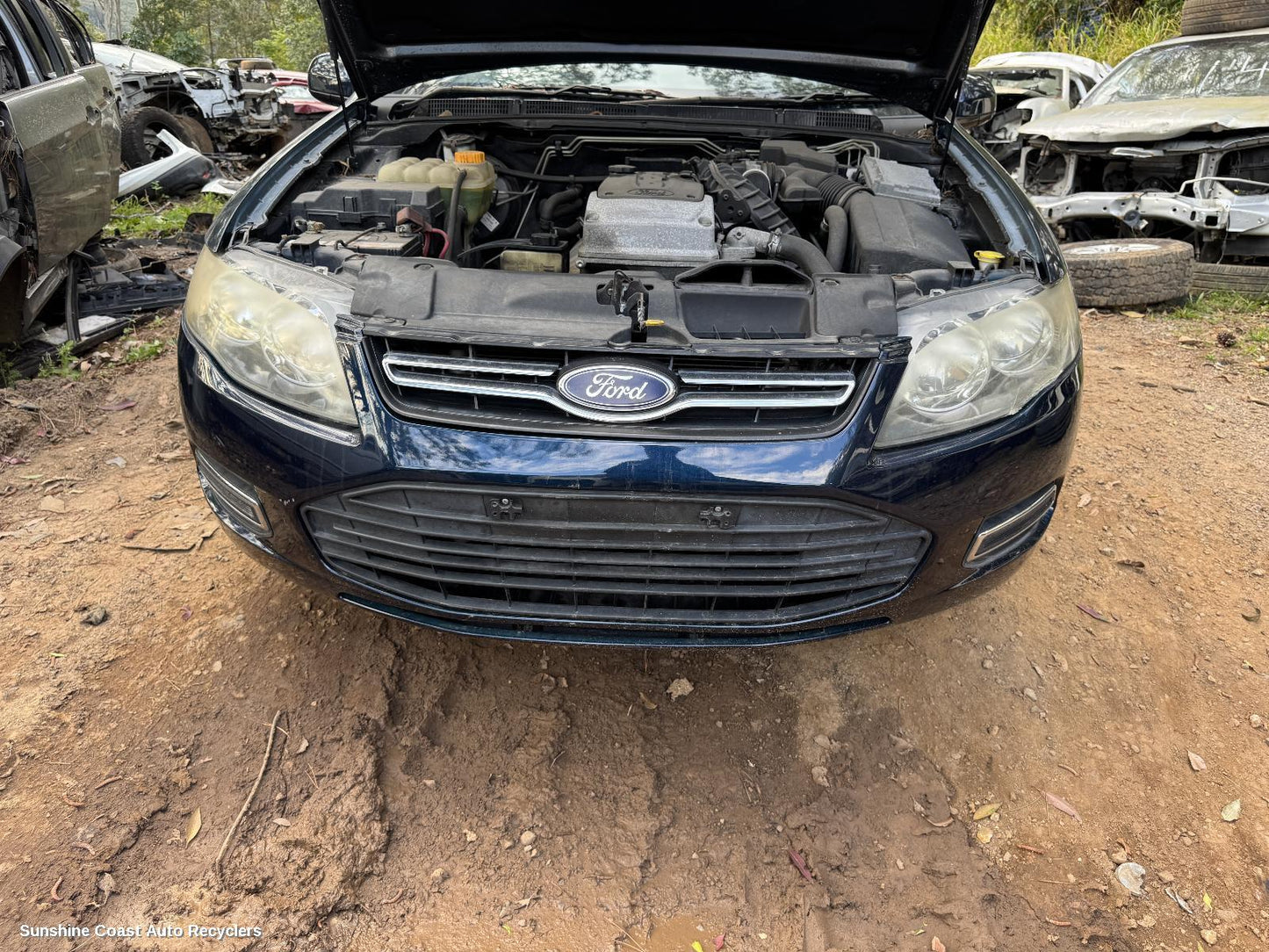 2012 Ford Falcon Grille