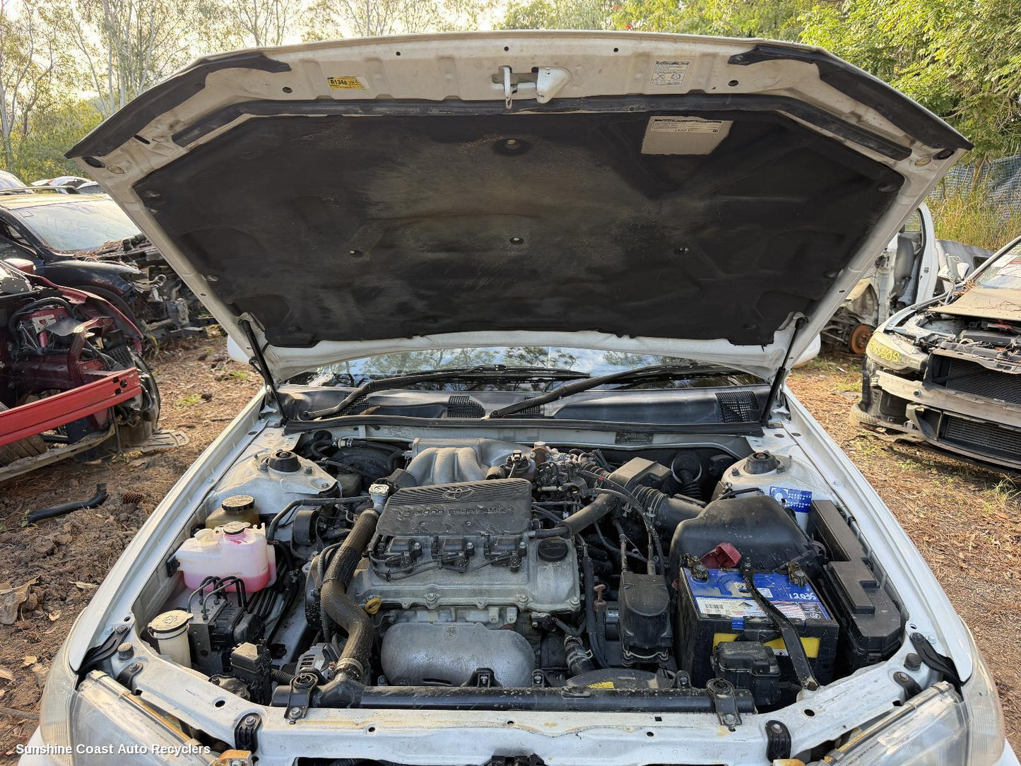 1997-2002 Toyota Camry Engine