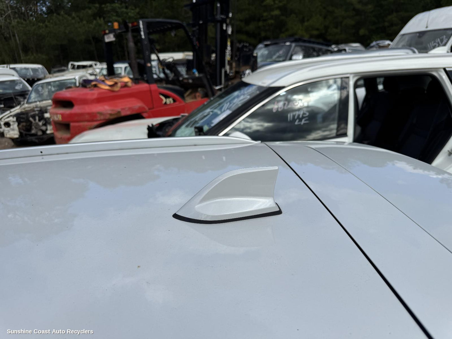 2016-2026 Renault Kaleos Antenna