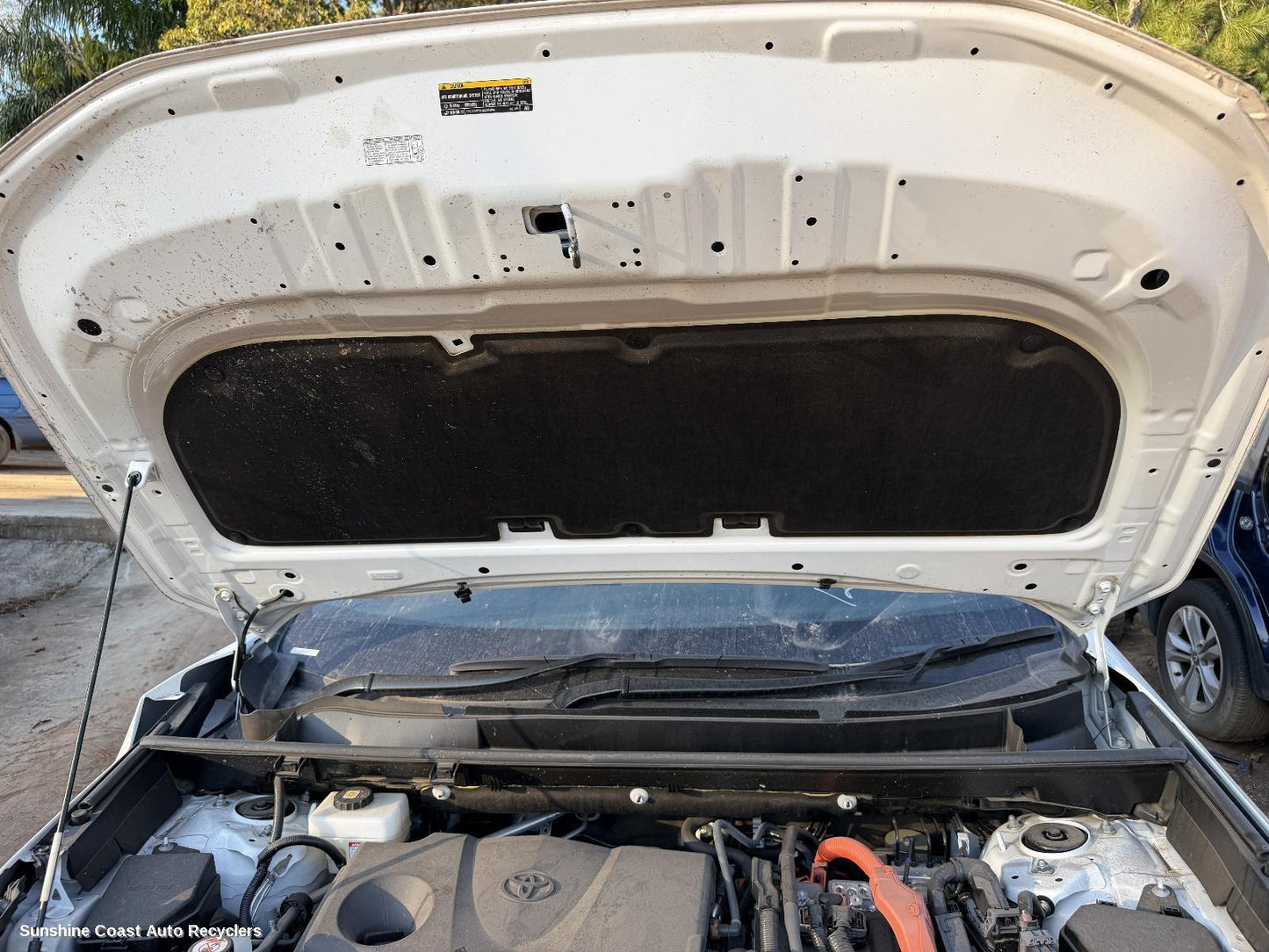 2018-2025 Toyota Rav4 Bonnet
