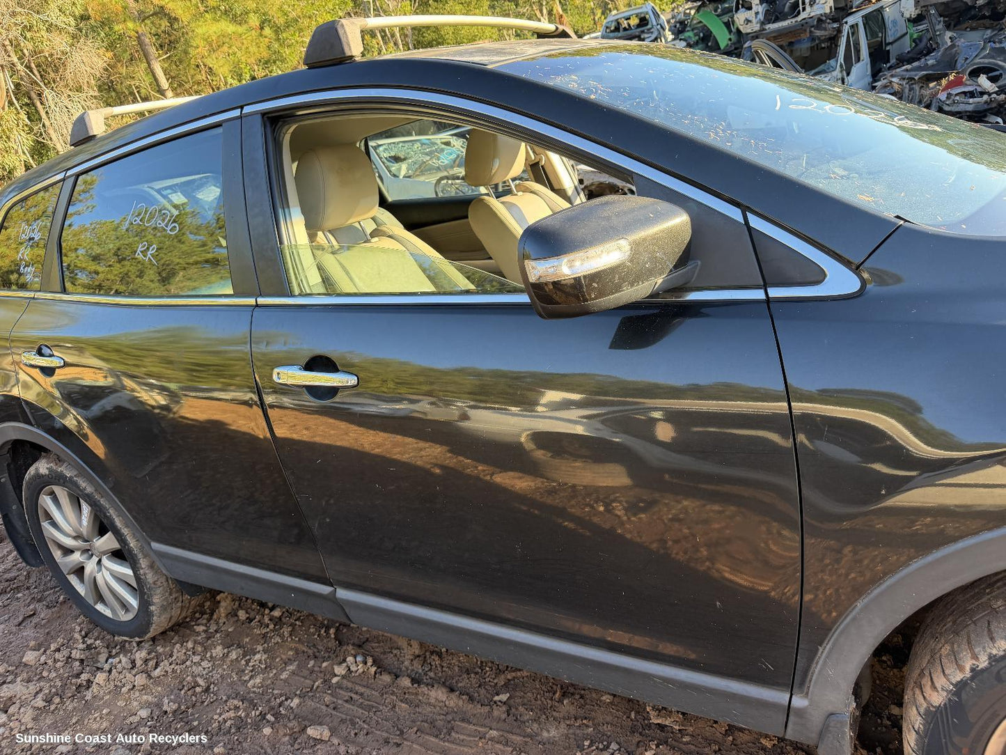 2007-2015 Mazda Cx9 Right Front Door Window