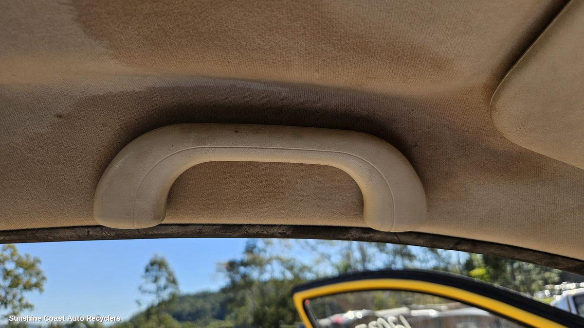 2002-2005 Hyundai Getz Grab Handle