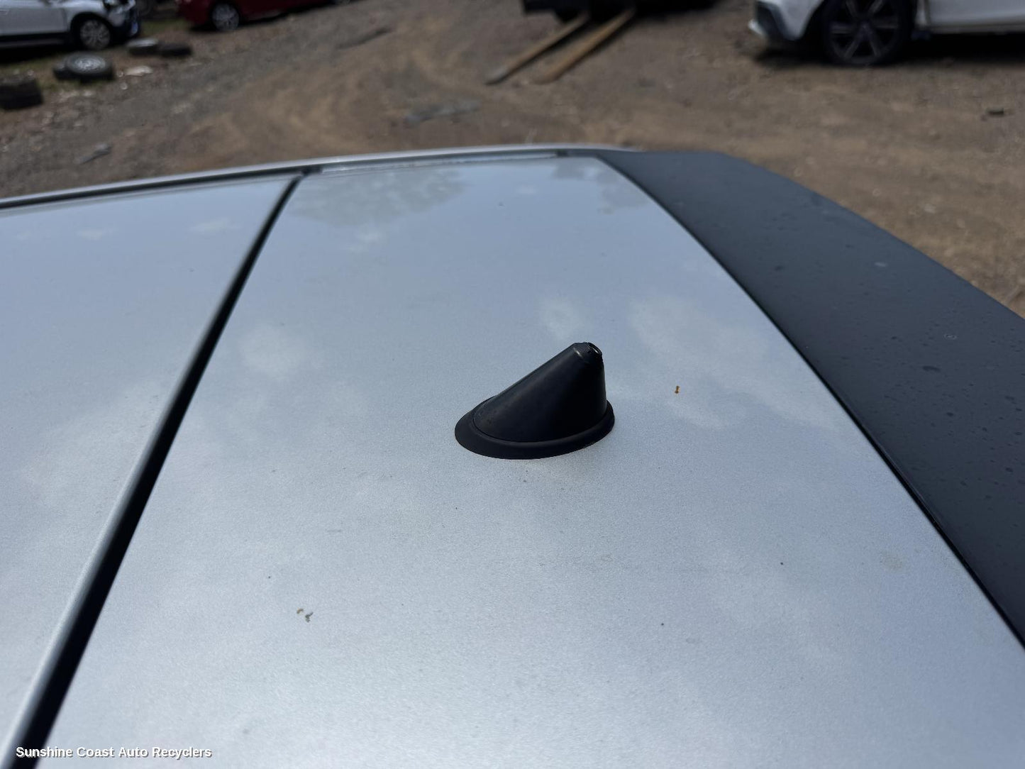 2010 Holden Commodore Antenna