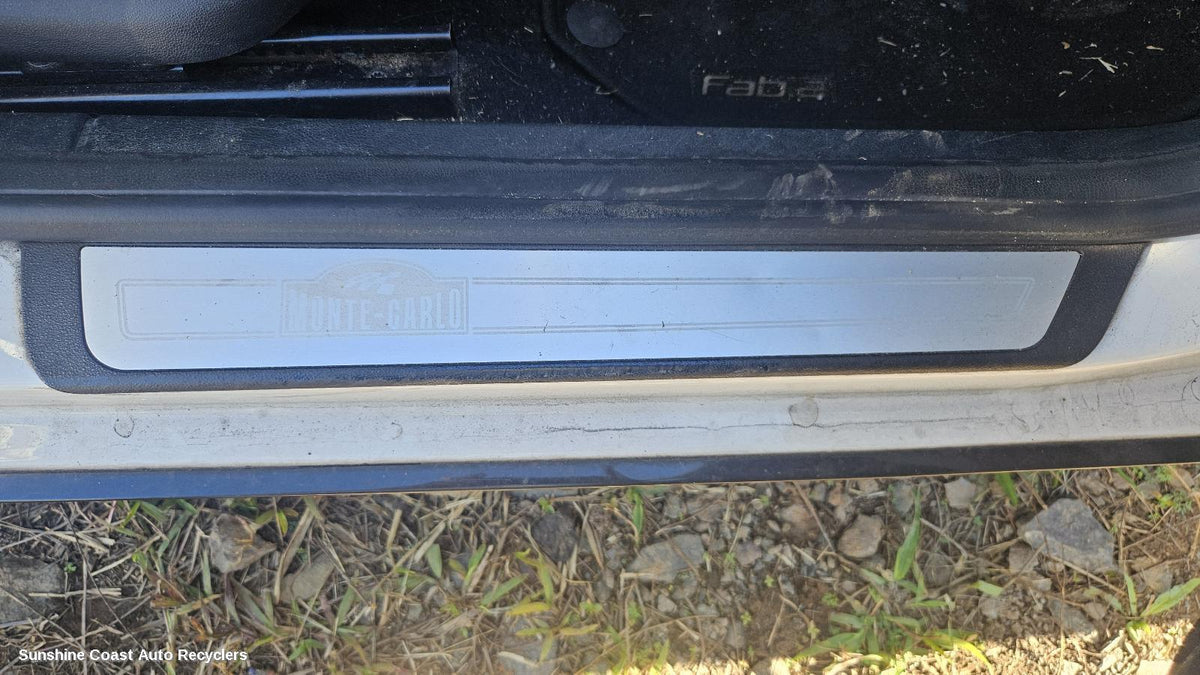 2010-2015 Skoda Fabia Body Door Mould