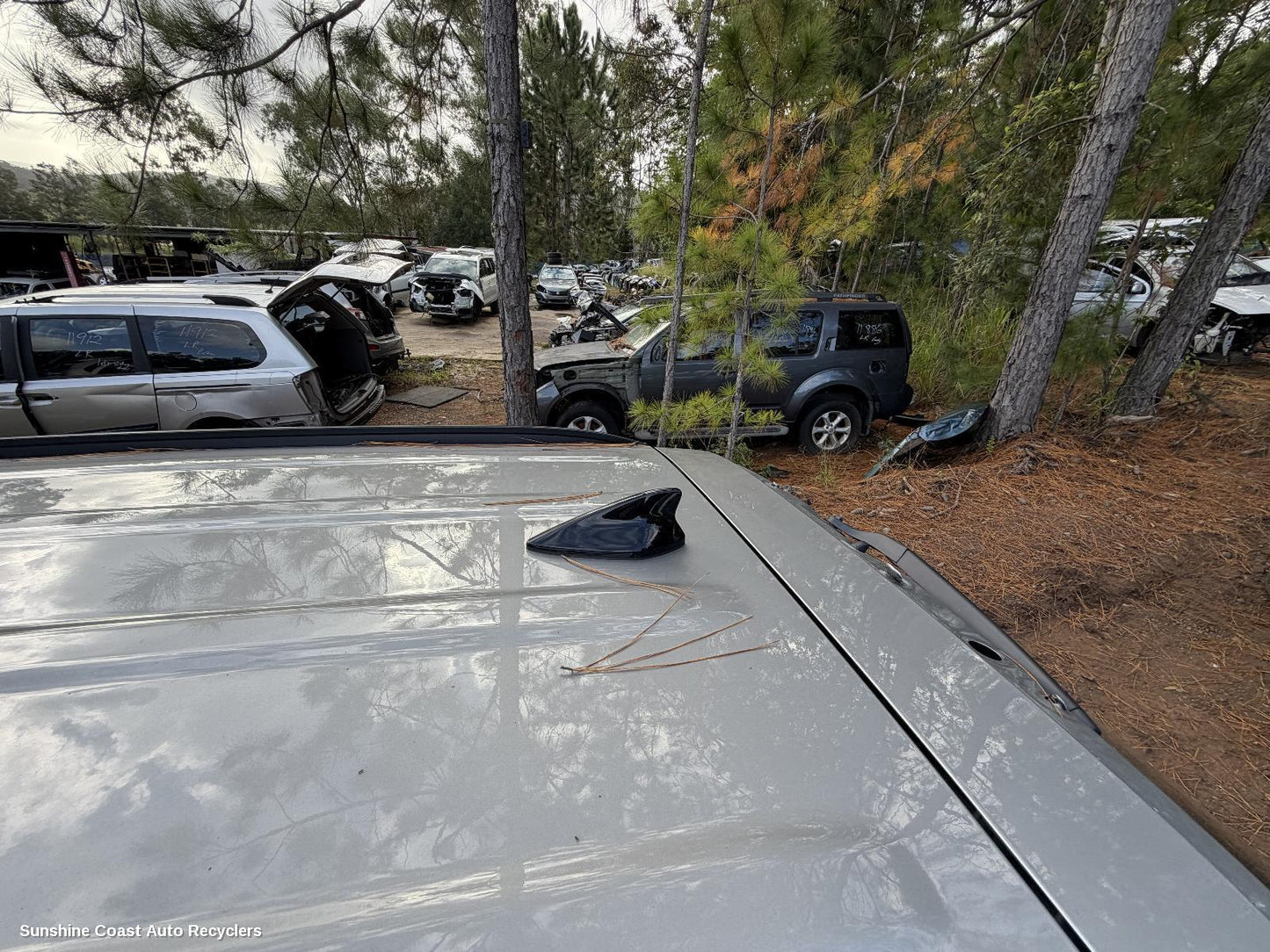 2021-2026 Hyundai Tucson Antenna