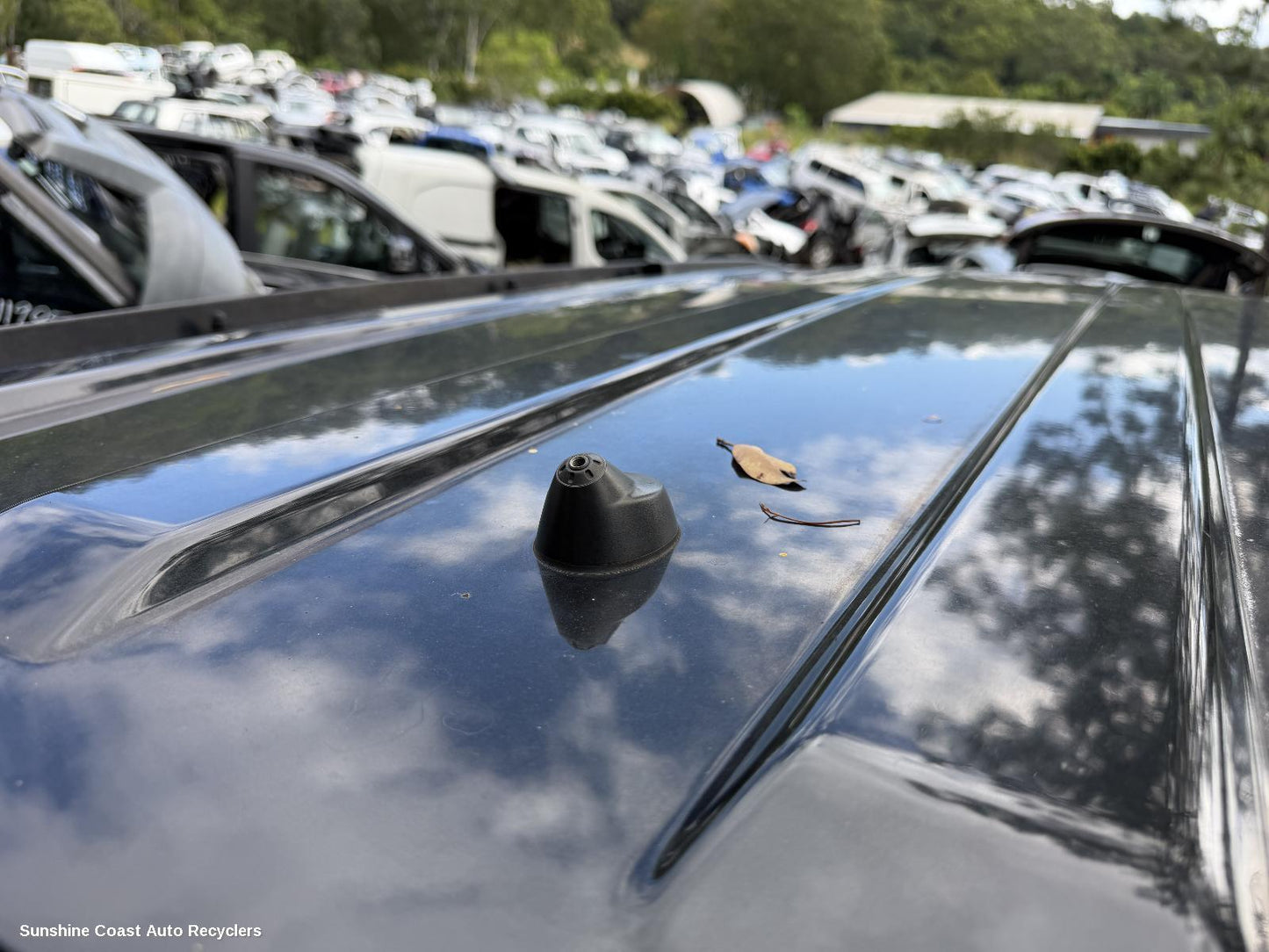 2007-2011 Dodge Nitro Antenna